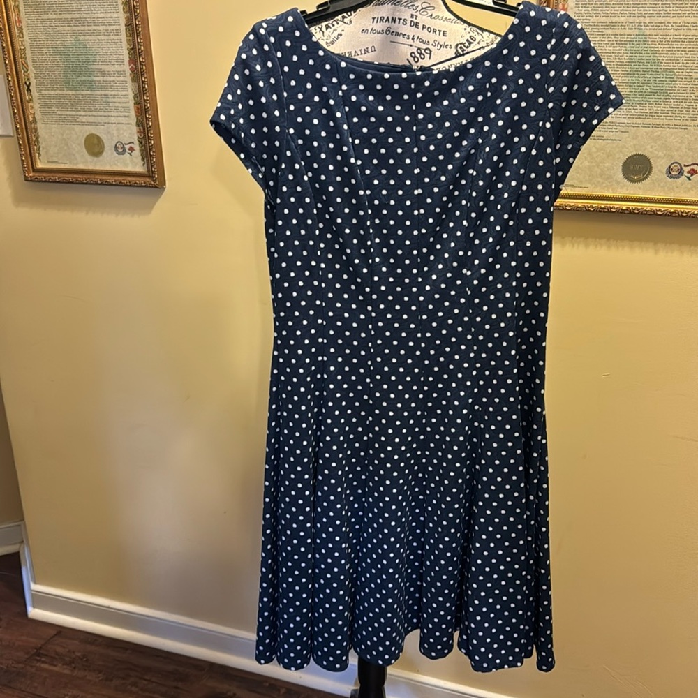Danny and Nicole size 12 blue polkadot dress